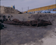 FileNo.090371.jpg
