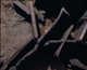 FileNo.090386.jpg