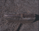 FileNo.090392.jpg