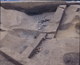 FileNo.090442.jpg
