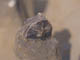 FileNo.092-002.jpg