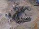 FileNo.092-005.jpg
