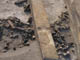 FileNo.092-006.jpg