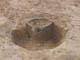 FileNo.092-008.jpg