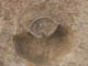 FileNo.092-009.jpg