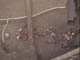 FileNo.092-034.jpg