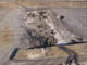 FileNo.092-041.jpg