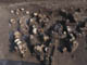 FileNo.092-042.jpg