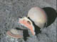 FileNo.092-046.jpg