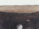 FileNo.092-065.jpg