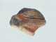 FileNo.092-119.jpg