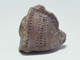 FileNo.092-124.jpg