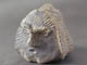 FileNo.092-126.jpg