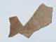 FileNo.092-201.jpg