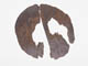 FileNo.092-231.jpg