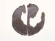 FileNo.092-287.jpg