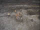 FileNo.093-003.jpg
