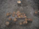 FileNo.093-004.jpg
