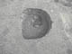 FileNo.093-040.jpg