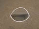 FileNo.094a-006.jpg