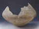 FileNo.094a-055.jpg