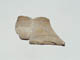 FileNo.094a-069.jpg