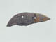 FileNo.094a-091.jpg