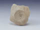 FileNo.094a-095.jpg