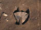 FileNo.095-009.jpg