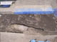 FileNo.095-023.jpg