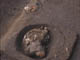 FileNo.095-024.jpg