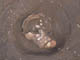 FileNo.095-025.jpg
