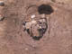 FileNo.095-033.jpg