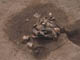 FileNo.095-035.jpg