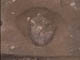 FileNo.095-036.jpg