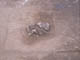 FileNo.095-039.jpg