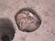 FileNo.095-041.jpg