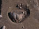 FileNo.095-043.jpg