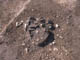 FileNo.095-045.jpg