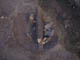 FileNo.095-046.jpg