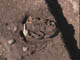 FileNo.095-050.jpg