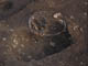 FileNo.095-051.jpg