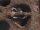 FileNo.095-059.jpg