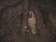 FileNo.095-060.jpg