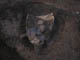 FileNo.095-061.jpg
