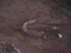 FileNo.095-062.jpg