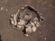 FileNo.095-064.jpg