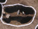 FileNo.095-069.jpg