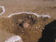 FileNo.095-079.jpg