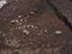 FileNo.095-080.jpg